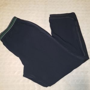 Ann Taylor dress pants